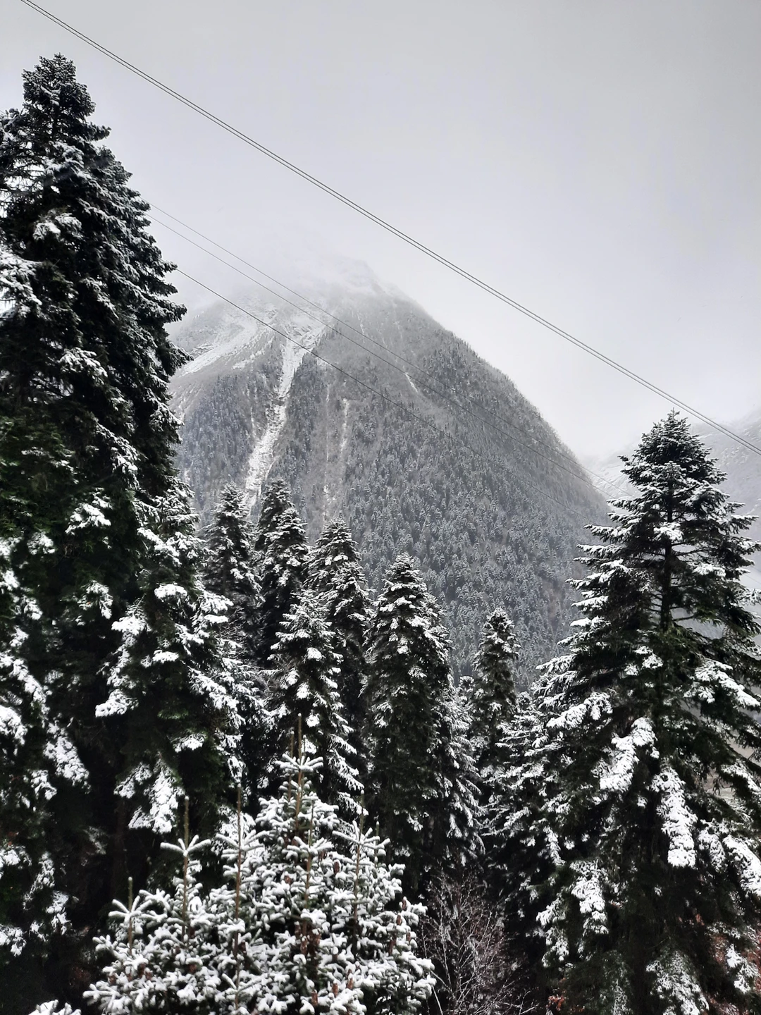 Путешествие в горы по-настоящему наполняет положительными эмоциями! Путешествуя с великолепным водителем Еленой Прекрасной, я получила массу