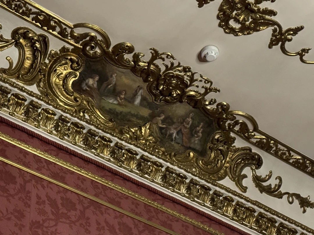 Фонтанный дом: будни графов Шереметевых (Дзюба)