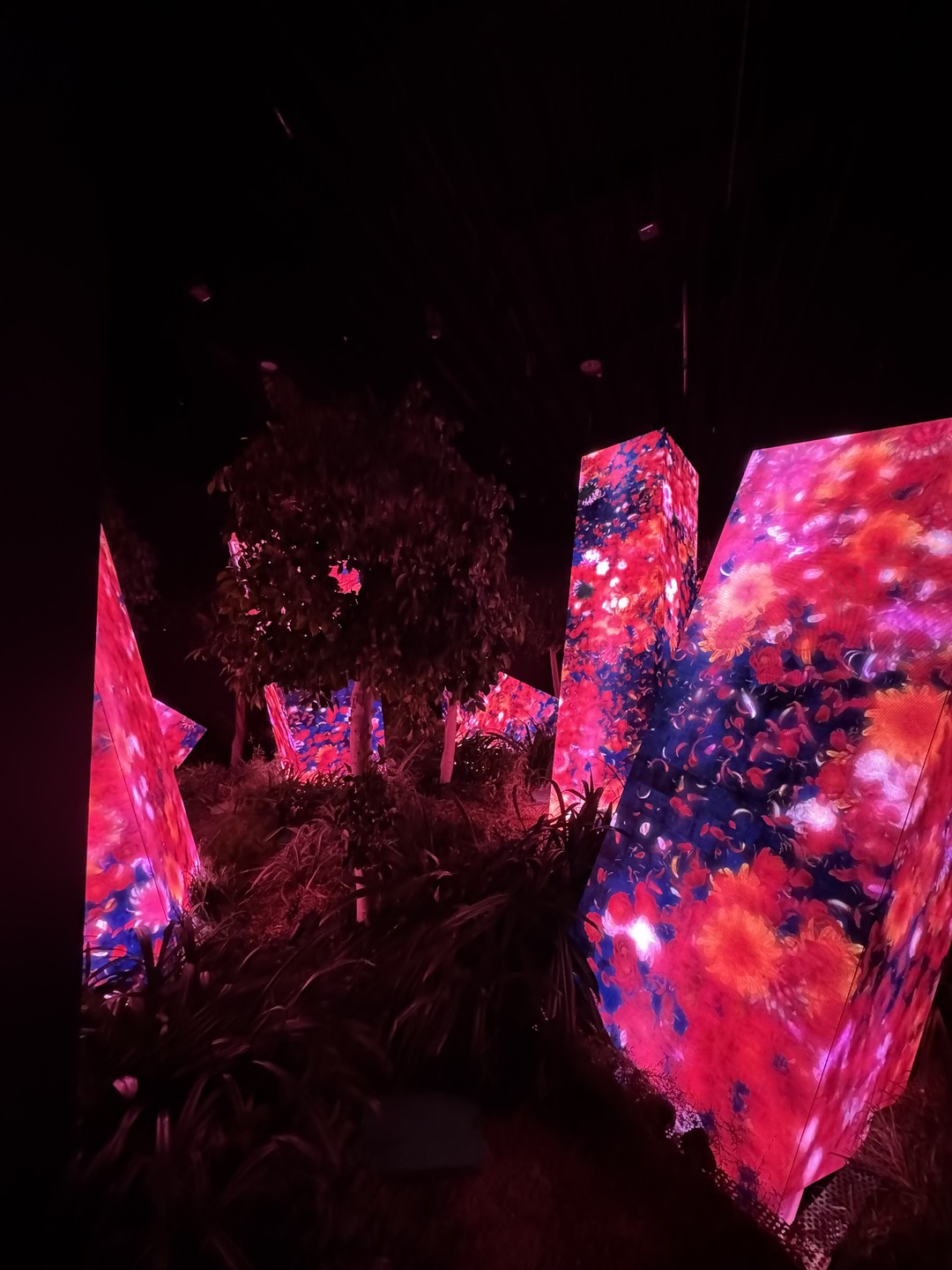 1 день в Абу-Даби: главные достопримечательности (Дарья)