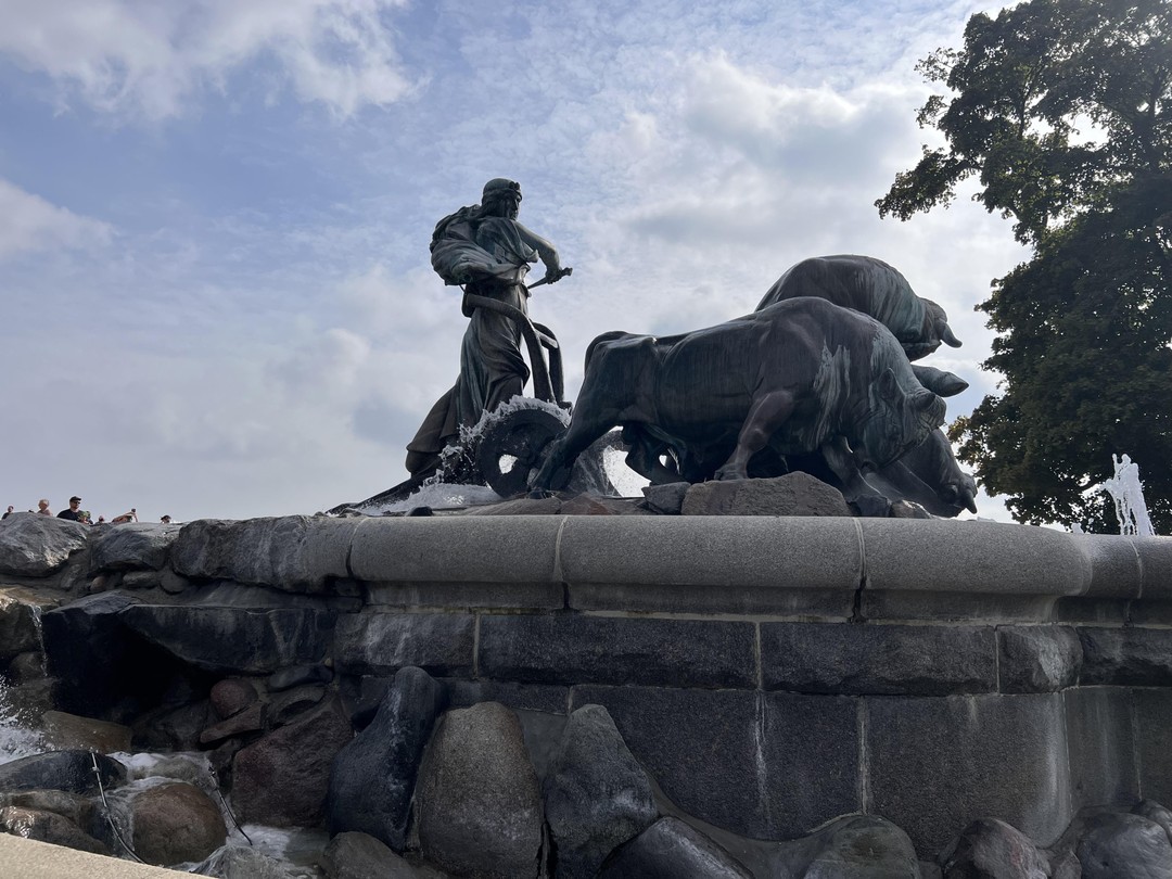 Огромная благодарность Александру за отличную экскурсию по Копенгагену во время стоянки нашего круизного лайнера. Отлично организованная