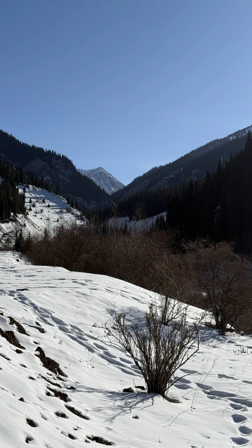 Невероятное зимнее приключение по «жемчужинам» Казахстана с Газизом!