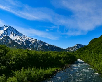 Наблюдение за медведями или треккинг к горному массиву Вачкажец