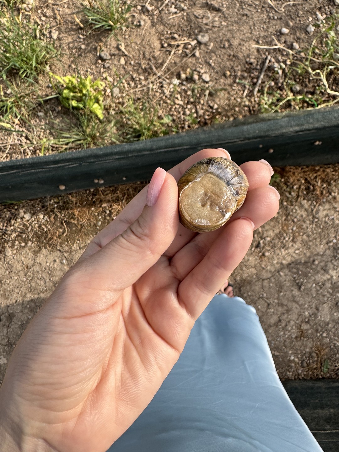Я просто ожидала чего то большего. По факту вкусный ужин на даче. Небольшая дача и домашний ужин