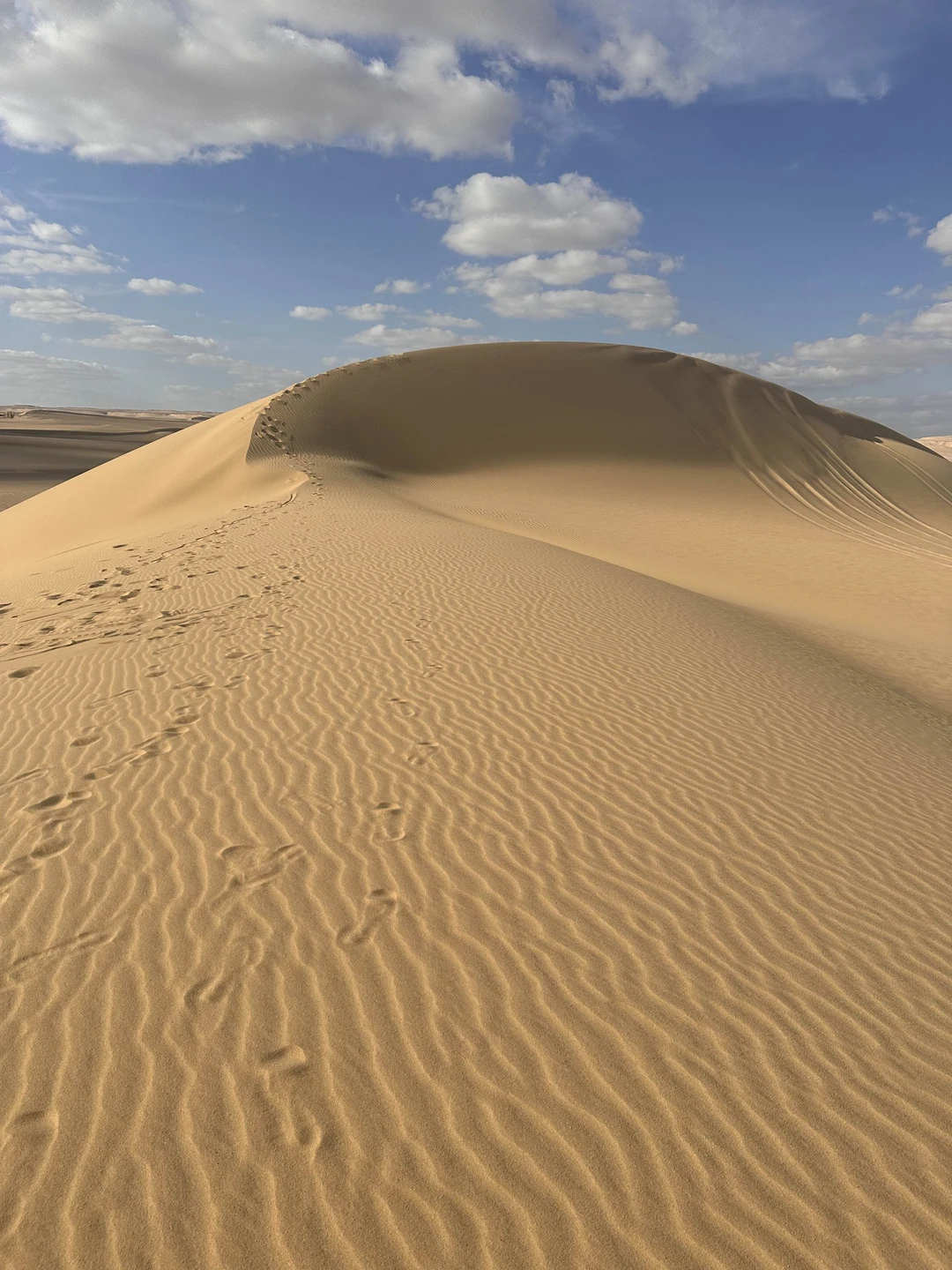 Очень понравилась экскурсия с элементами экстрима в виде катания на сент борде по барханам и экстремального