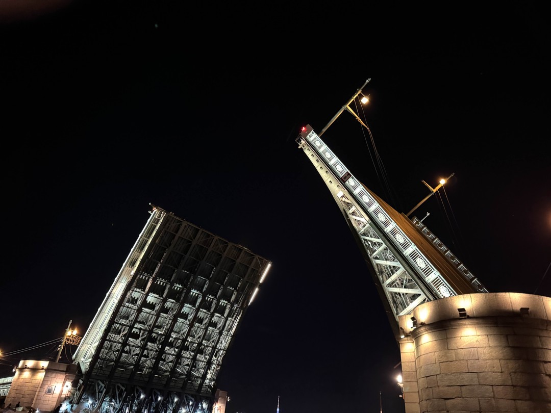 Ночная прогулка на катере к разводным мостам (Кирюшкина)