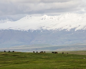 Переезд Сусамырскую долину