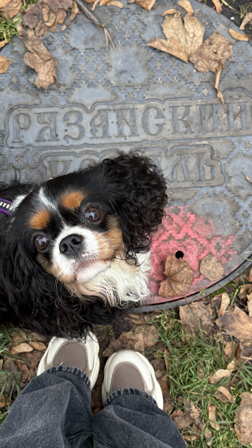 Хорошая экскурсия. Продуманный и не затянутый маршрут. Алексей интересный рассказчик