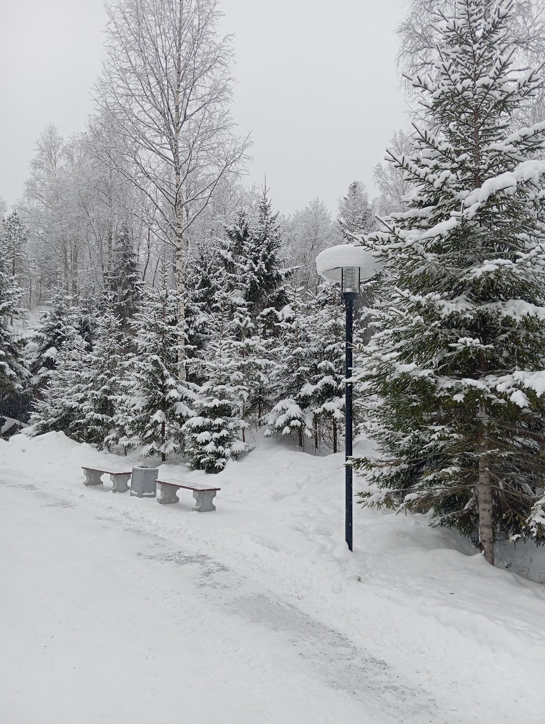 Побывали в настоящей зимней сказке!