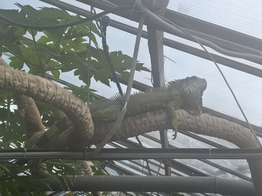 Мы были на экскурсии с Кристиной, это было прекрасно! Организационные моменты: автомобиль ждал в удобном для