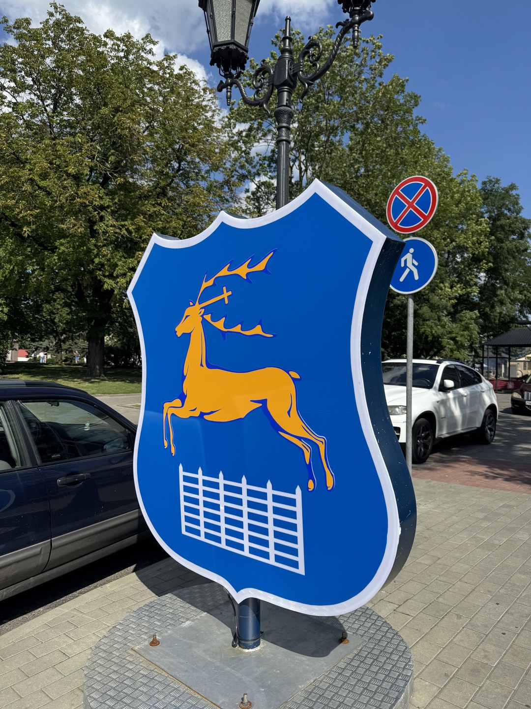 Королевский город Гродно (Илона)