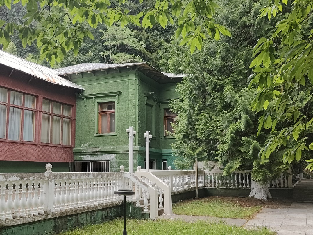 Озеро Рица и окрестности (Oleg)