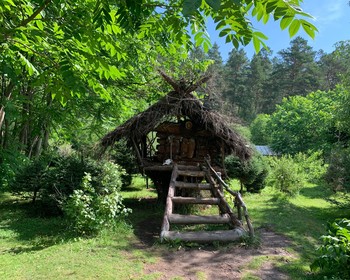 Прогулка по Ботаническому саду села Камлак
