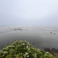 reviews img