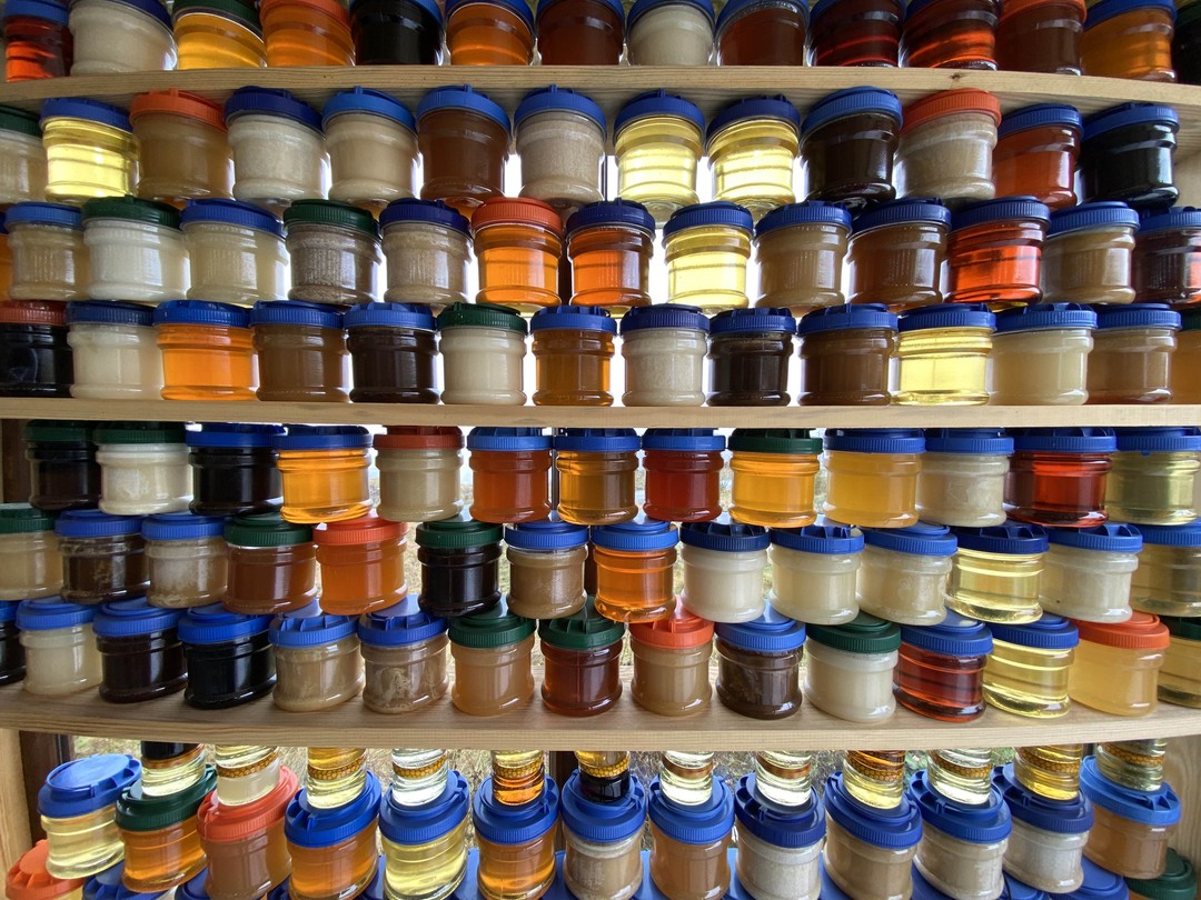 Путешествием довольны, гид Отар очень хорошо вёл 👍🏻