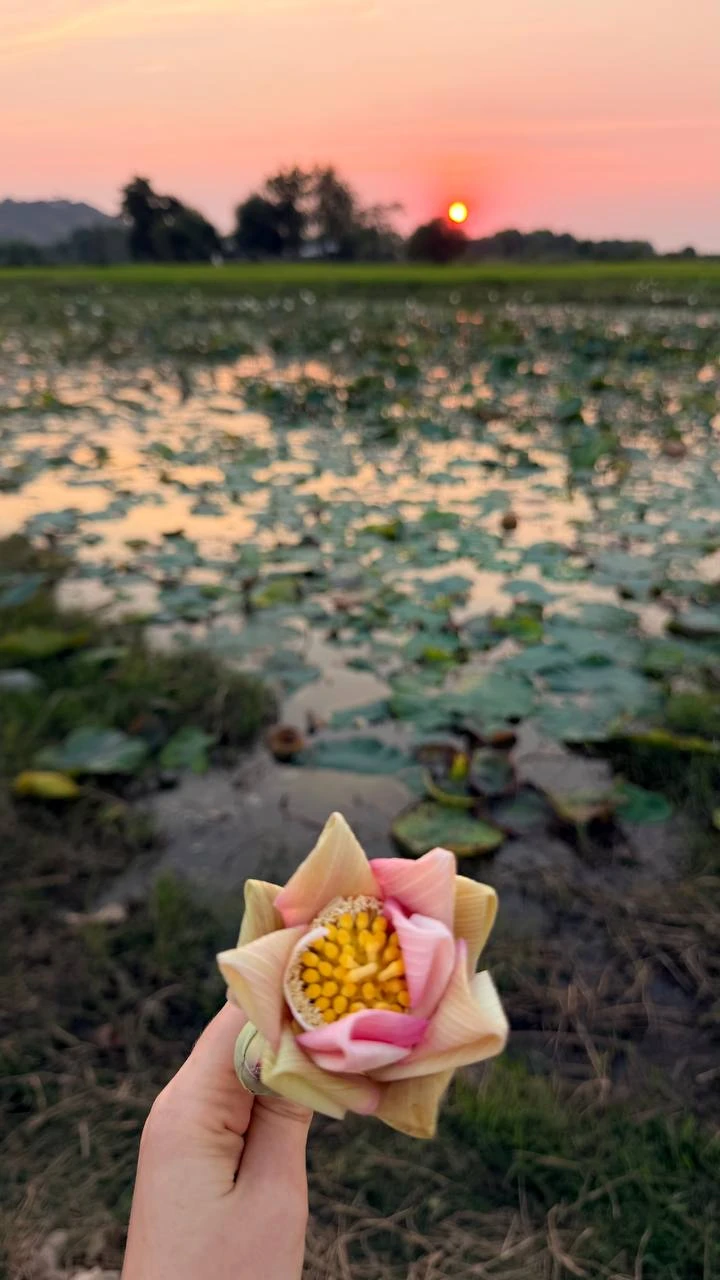 Благодарим Владимира за интереснейшую, познавательную и позитивную экскурсию! Владимир - очень интересный, разносторонний гид; рассказ сопровождается