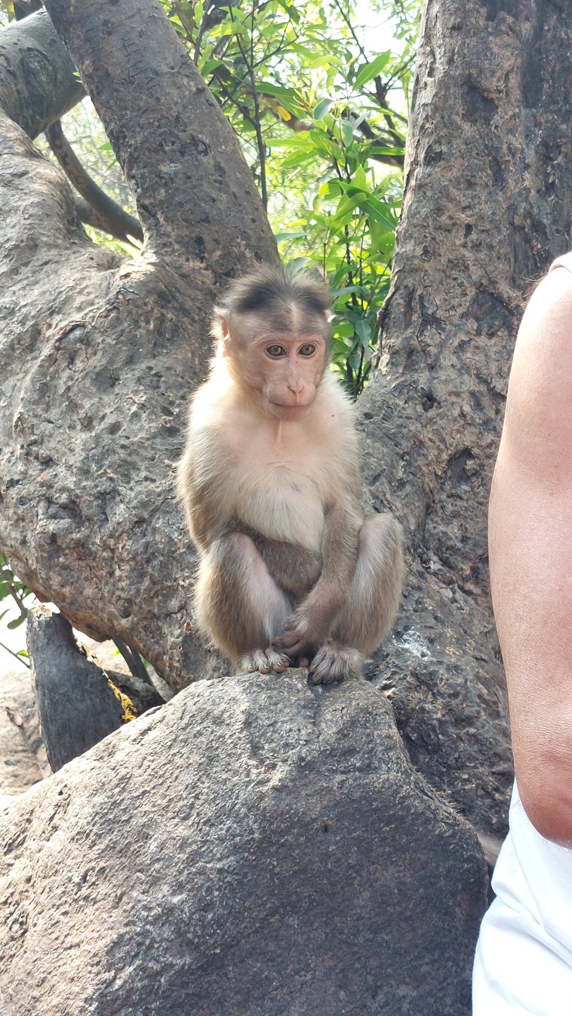 Экскурсия понравилось. Хорошо,что выехали рано,поэтому смогли осмотрель все локации без огромной толпы людей. На плантации достаточно