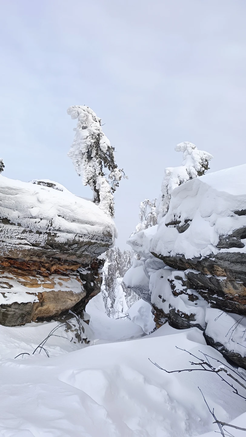 Сбылась мечта побывать в зимней сказке Пермского края! Это очень красиво, волшебно, удивительно! Ёлочки в белоснежных