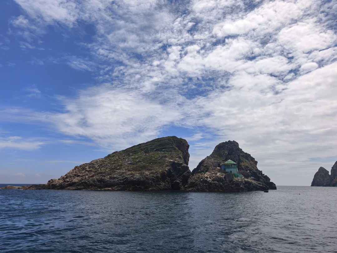 Забронировал через сайт путевку на снорклинг. Поехали всей семьей (дети 9 и 13 лет), нас забрали