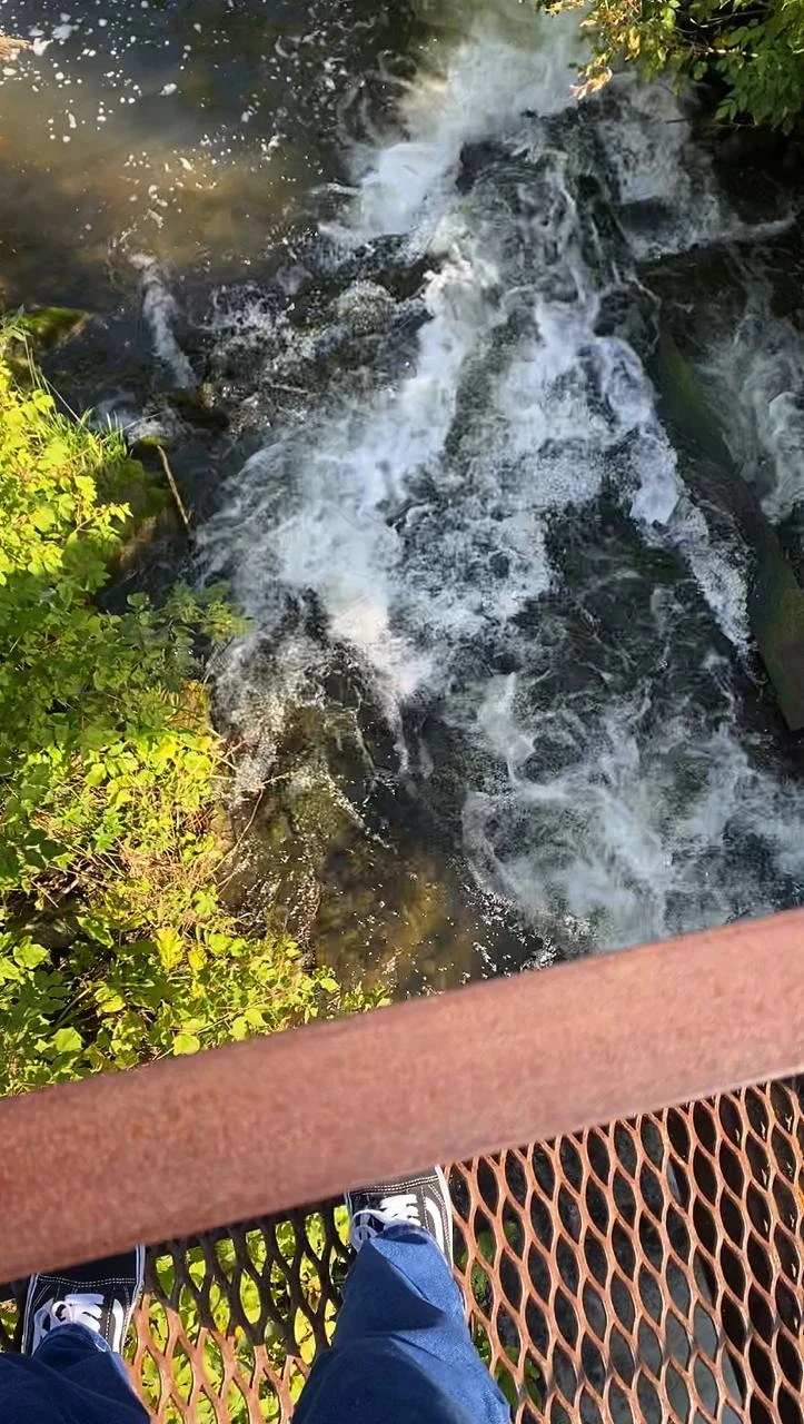 Интересно, красиво, комфортно, в меру динамично, всё запланированное посмотрели. Рекомендую!