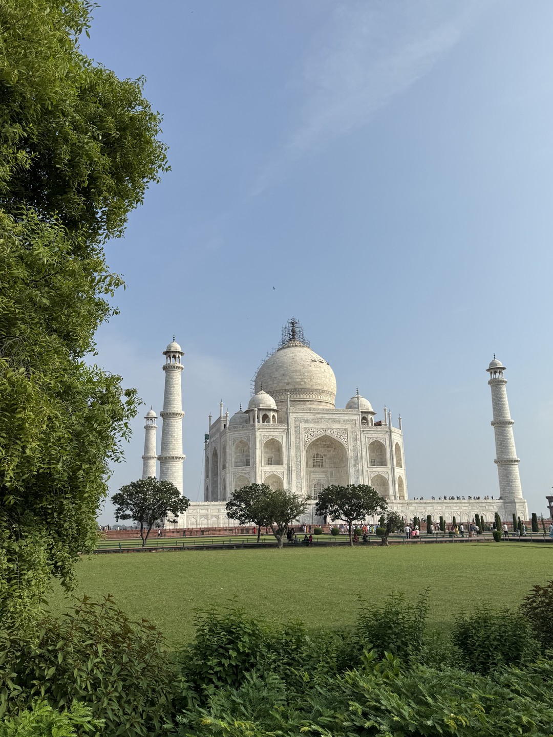 Мохсин организовал полное индивидуальные сопровождение на три дня, проехали сотни километров, посмотрели Агру, Джайпур, Дели. Ответственный