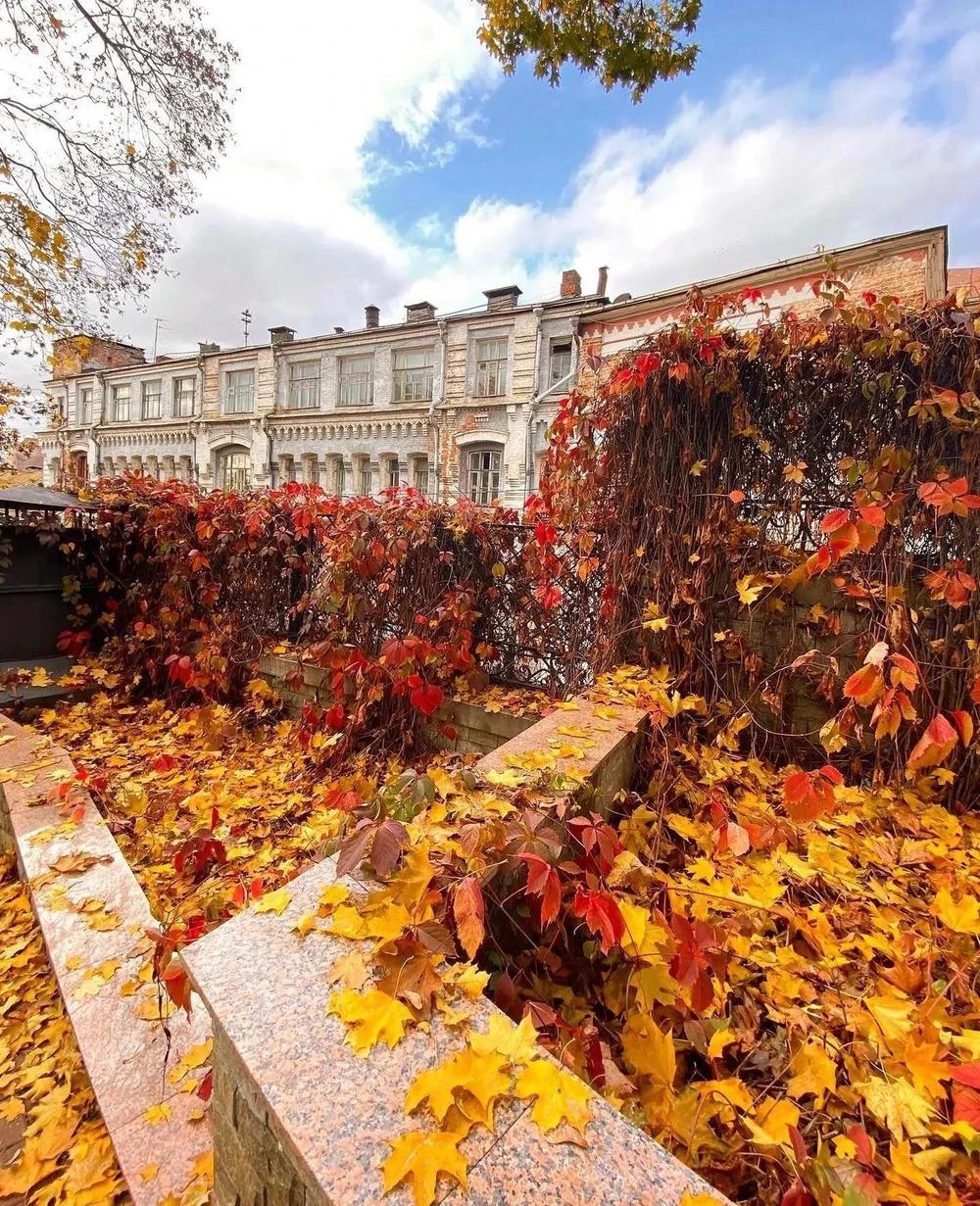 «Хитровка и её хитрости» — барная экскурсия по Москве (18+) (9/9)