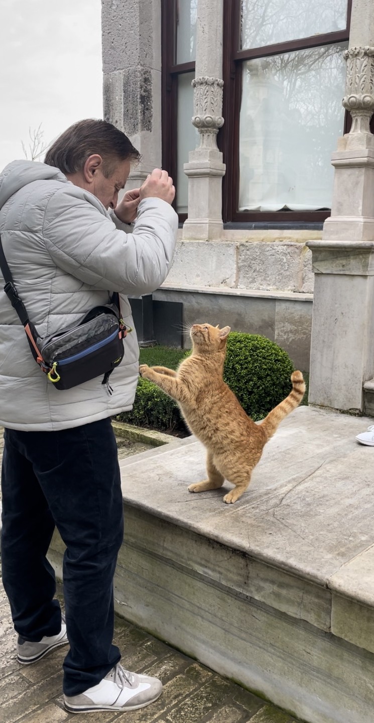 Сон наяву - великий османский Стамбул (Асет)
