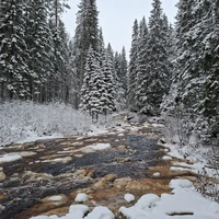 Фото отзыва 1: экскурсия "Карелия из Санкт-Петербурга: водопады, Рускеала и тот самый ретропоезд"