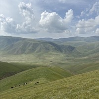 Фото отзыва 3: экскурсия "Плато Ассы, озеро Иссык и водопад: комфорт-маршрут, джипы, мини-группа"