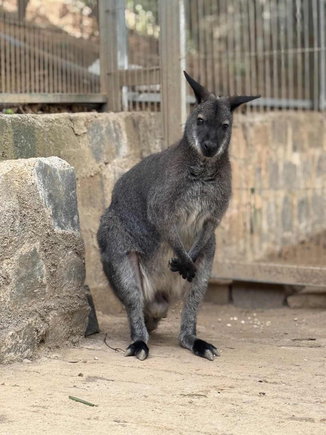 Из Нячанга - в Далат, самый европейский город Юго-Восточной Азии (Ольга)