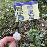 Фото отзыва 4: экскурсия "Сейшелы, которым есть чем удивить"