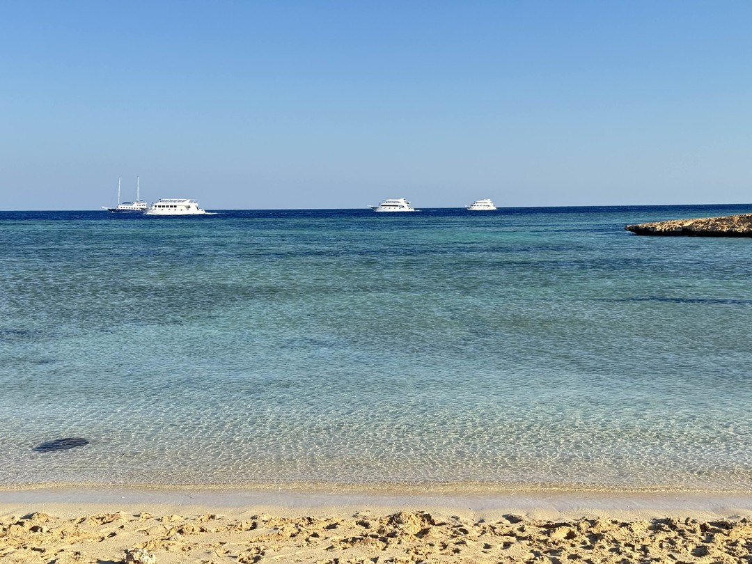 Отлично съездили с Мустафой в Рас Мухаммед. Увидели красоту-наземную и подводную. Муж с сыном в восторге