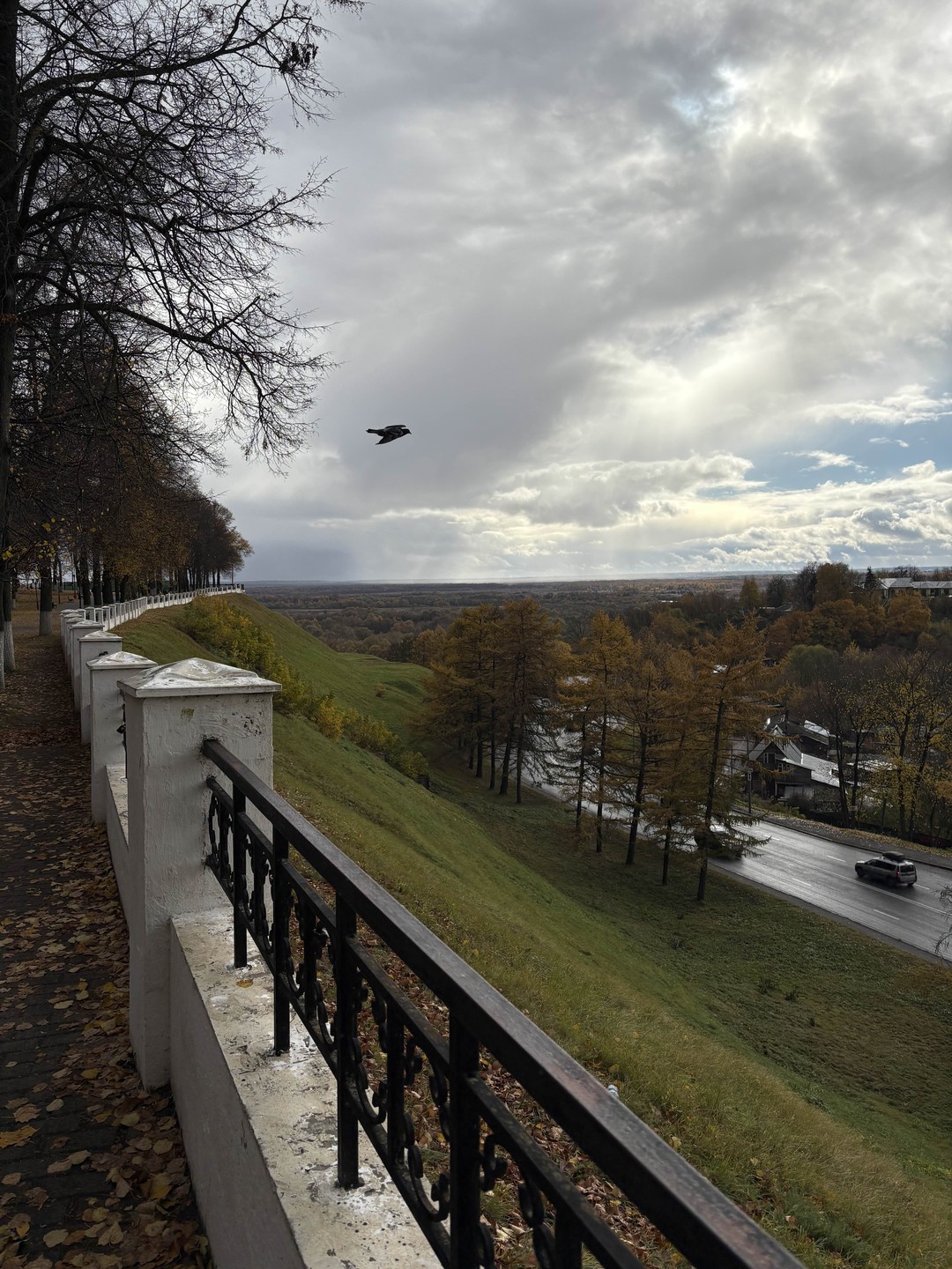 Многоликий Владимир и фрески Андрея Рублёва (Светлана)