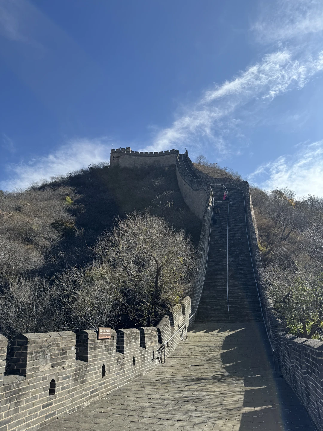 Пекин и Великая Китайская стена за 1 день: индивидуальная VIP-экскурсия (Евгений)