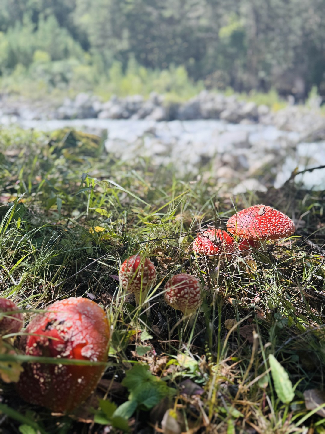 Однозначно - маршрут к посещению!