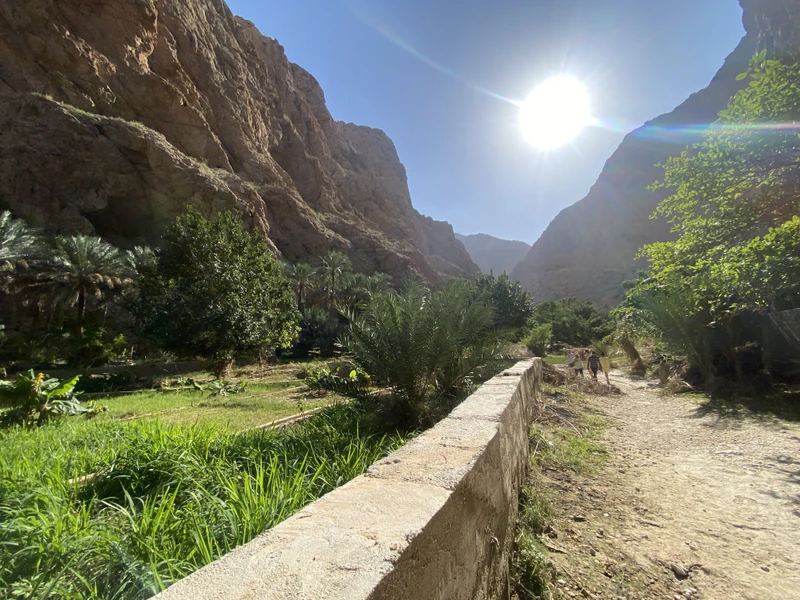 Оазис среди скал: Вади-Шаб и воронка Бимма