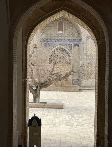 Невероятная экскурсия по Бухаре — это было настоящее путешествие во времени! От всего сердца благодарим гида