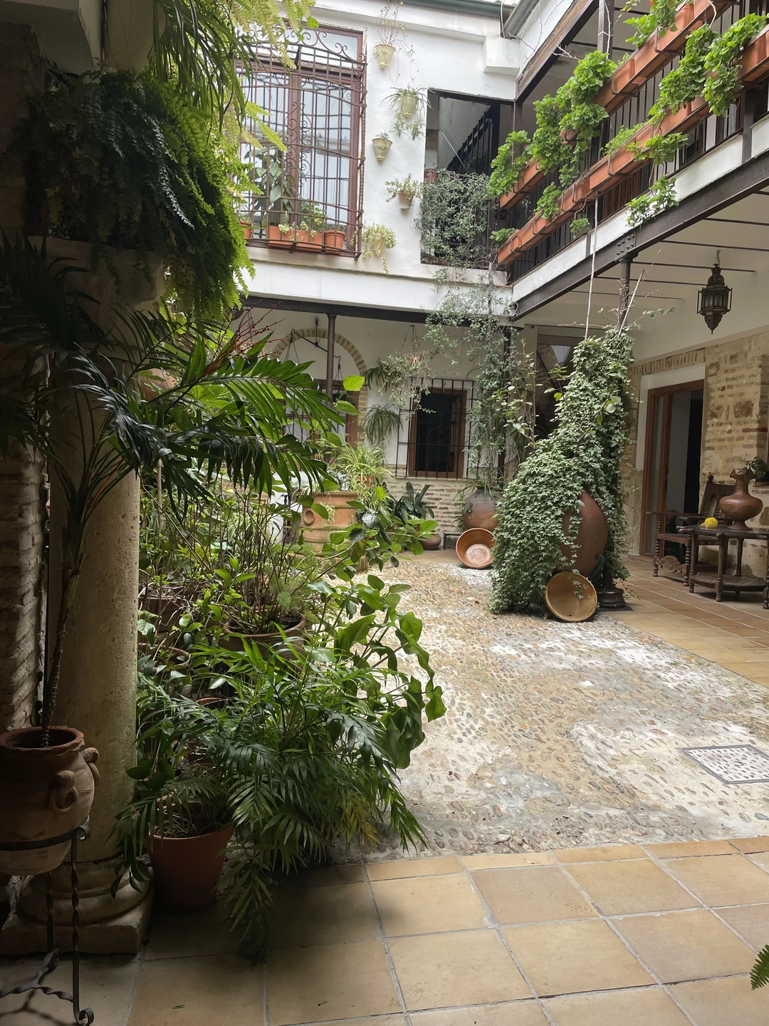 Потрясающая экскурсия и потрясающий гид! Все очень легко и интересно