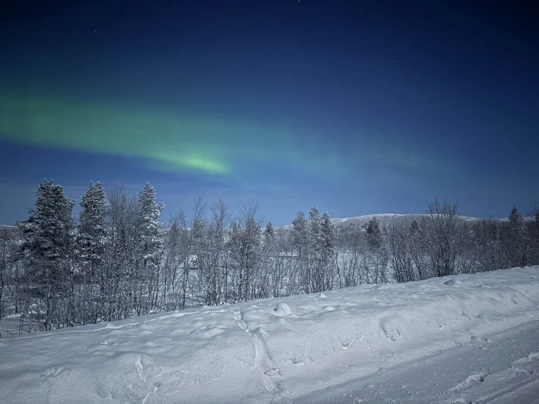 Очень понравилась новогодняя охота на сияние! Гиды точно знали куда ехать, на второй же остановке вышли