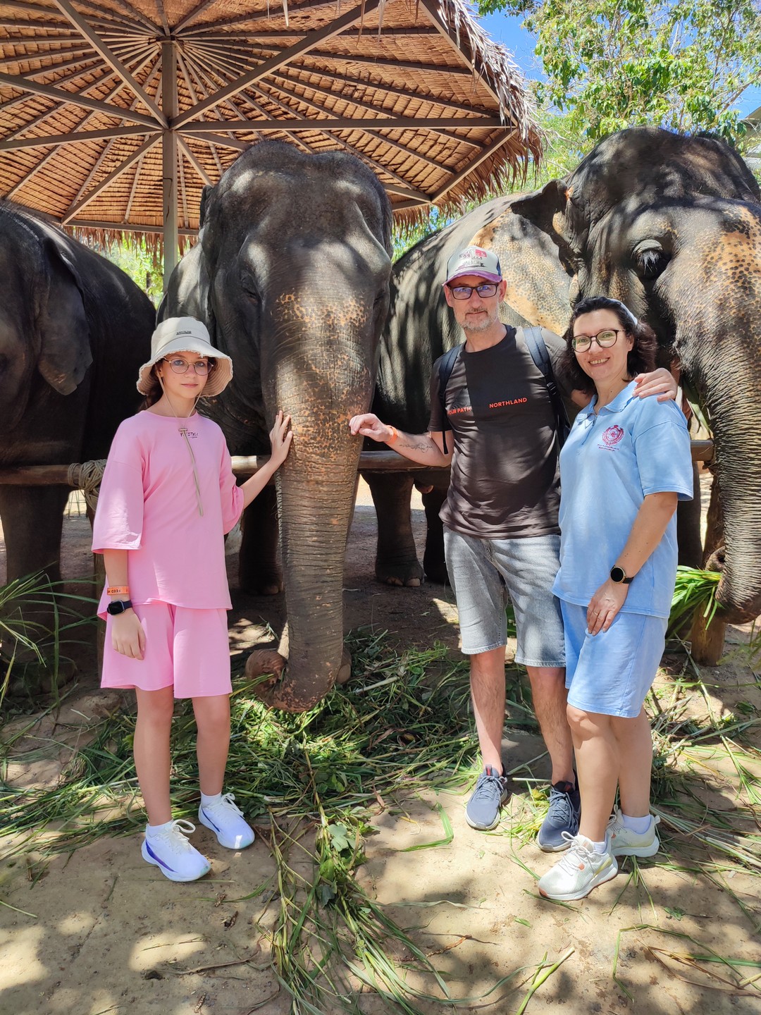 Мы предпочитаем активный отдых поэтому поехали на прогулку по джунглям. Увидели лианы, термитники, как растет имбирь