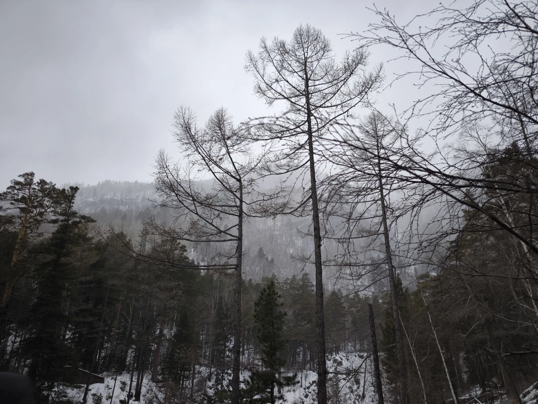 Отличная программа для тех, кто никогда не был в Бурятии, и хочет посмотреть сразу побольше) Гид