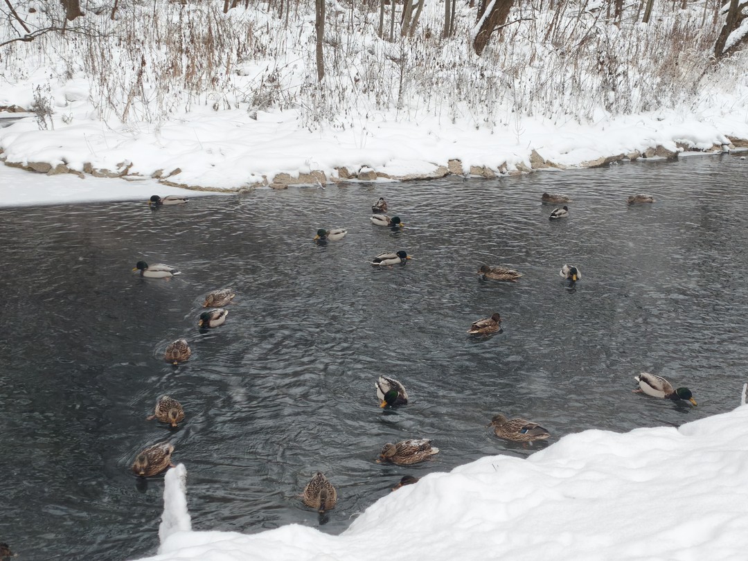 Классная экскурсия, и экскурсовод Альфия учла все пожелания, рассказывала очень интересно. Очень очень рекомендую экскурсию. Спасибо