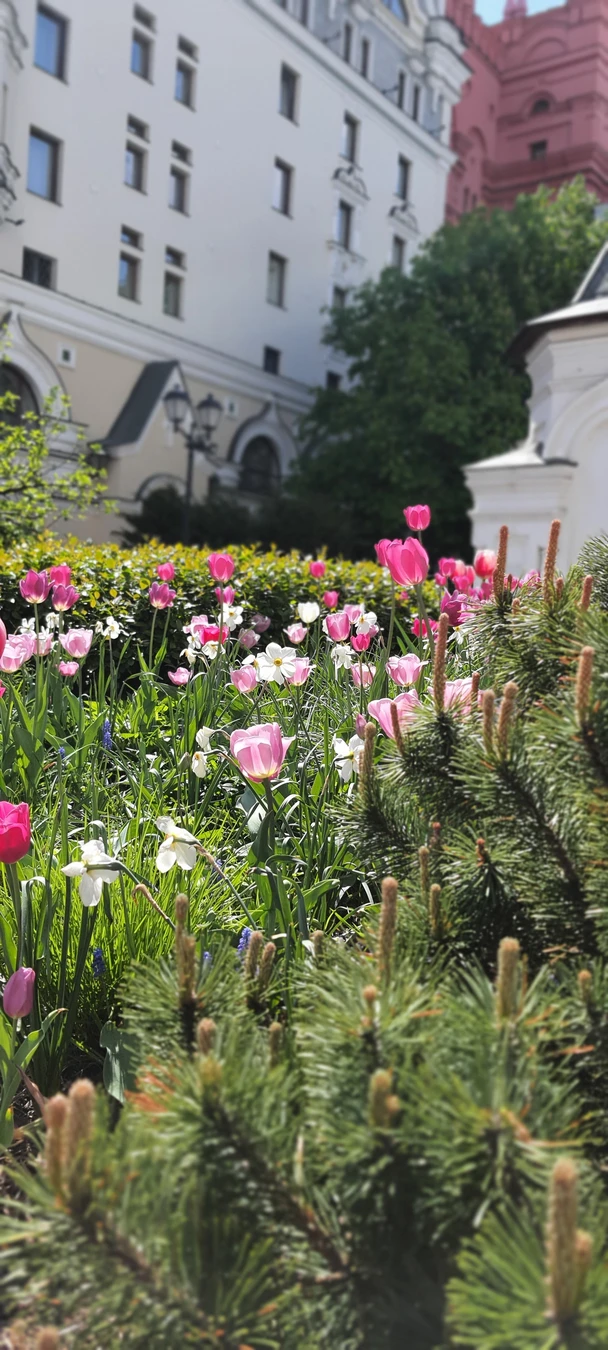 ГУМ, ЦУМ, Елисеевский — три кита московской торговли (8/9)