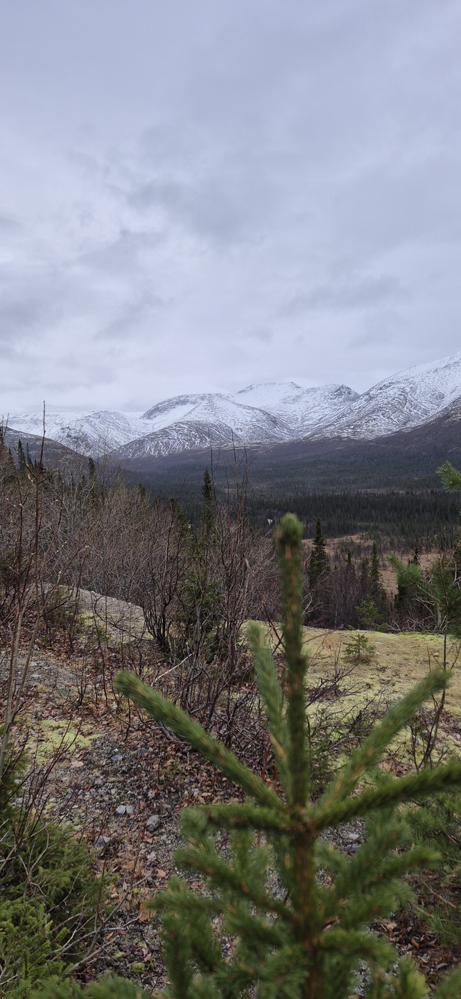 Спасибо большое всем за эту прекрасную экскурсию! Мы мечтали доехать до северных гор и эта мечта