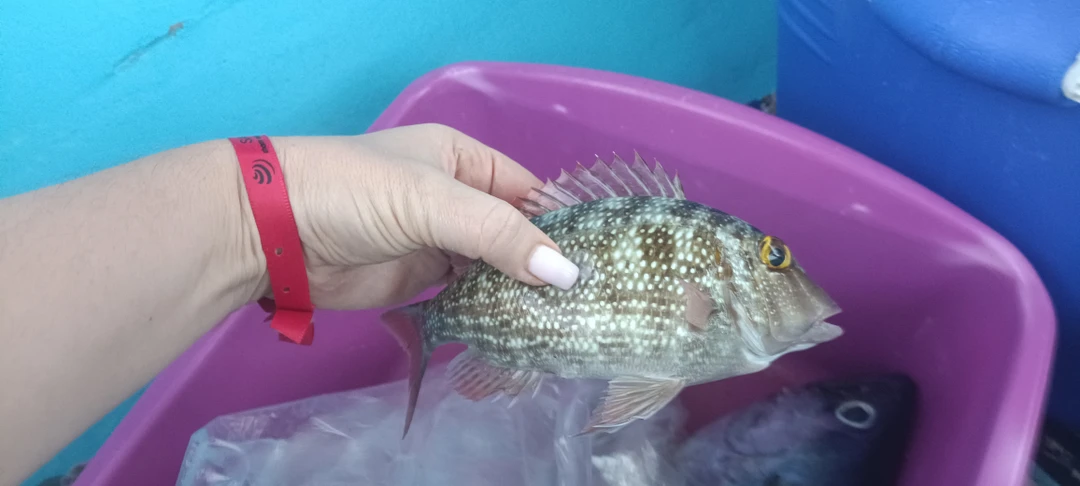 Были на рыбалке с Валидом 15/11/25