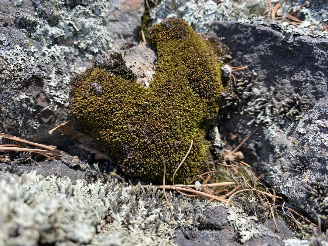 Экскурсию провела Евгения, и этот день оказался одним из лучших за всё время моего пребывания в