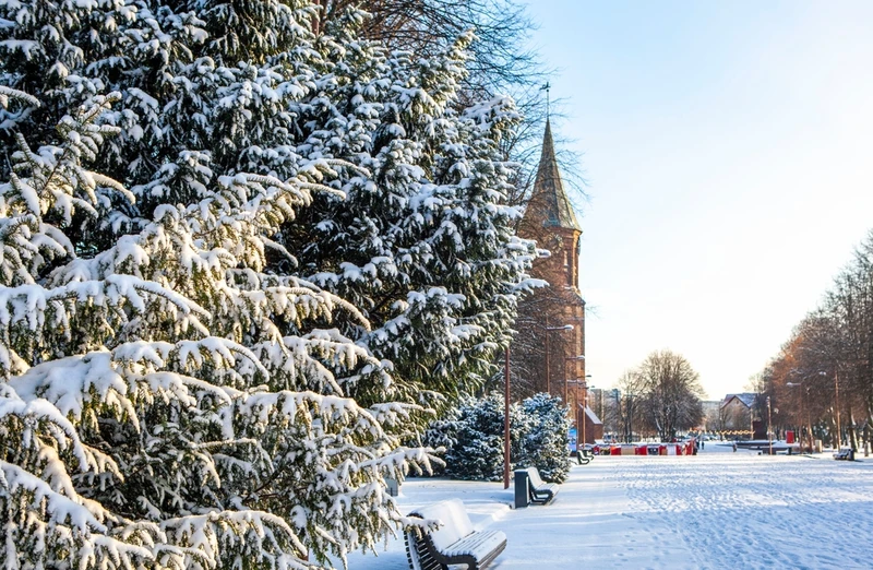 Индивидуальный тур-знакомство с Калининградом и областью: экскурсии, прогулки и концерт