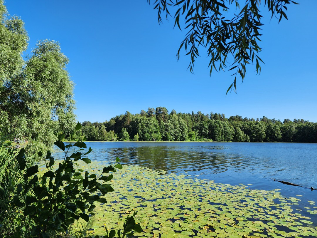 Природные красоты Казани (Никонова)