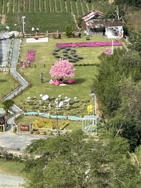 Далат на максимум (из Нячанга) (Olga)