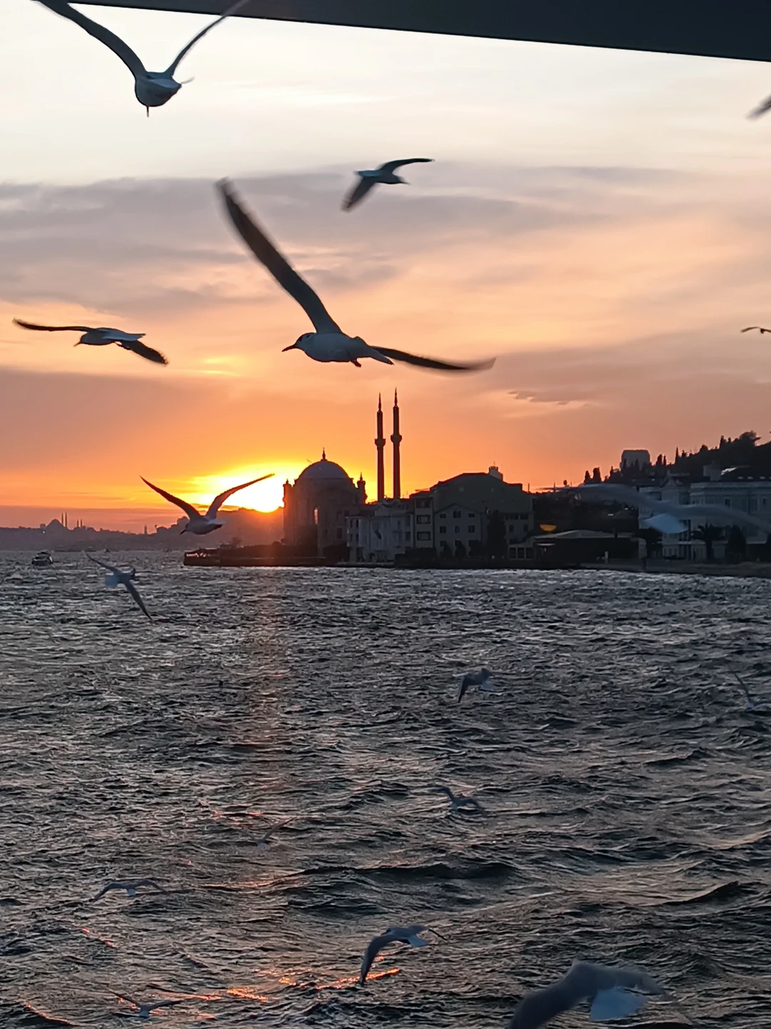 Прилетела в Стамбул днём и уже в 17:00 отправилась на прогулку по Босфору. Думаю это отличное