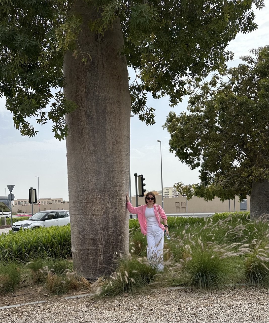 Спасибо большое нашему гиду за первое знакомство с Дубаи!!! У нас этот пункт был пересадочным и